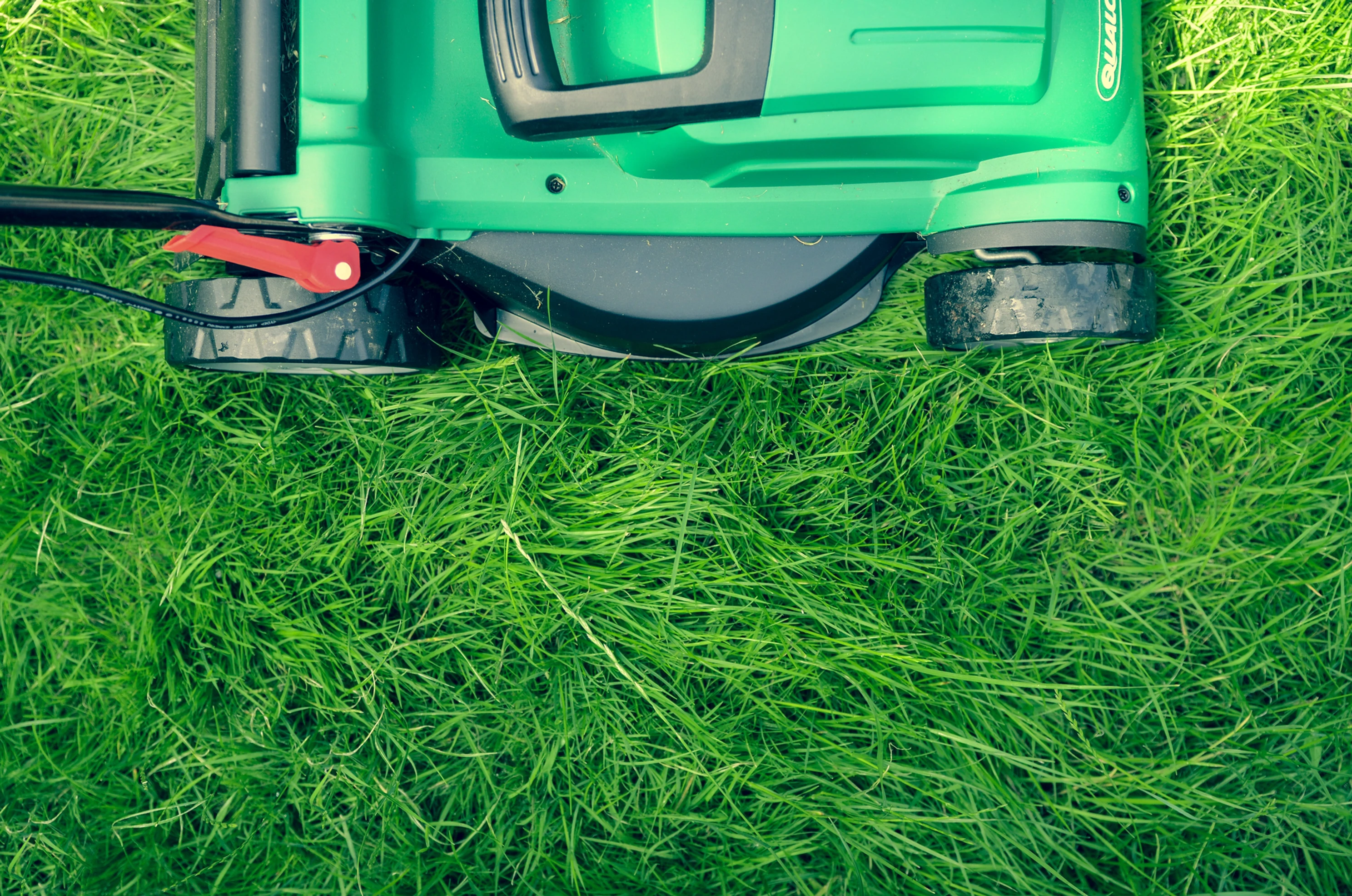 Lawn mower mowing very green grass